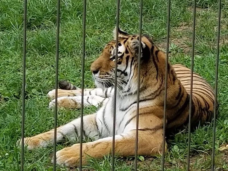 View of Glen Oak Park in Wilmette, IL