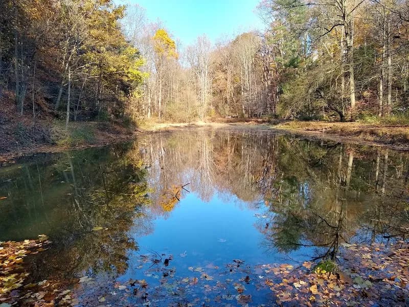View of Glen Providence Park in Media, PA
