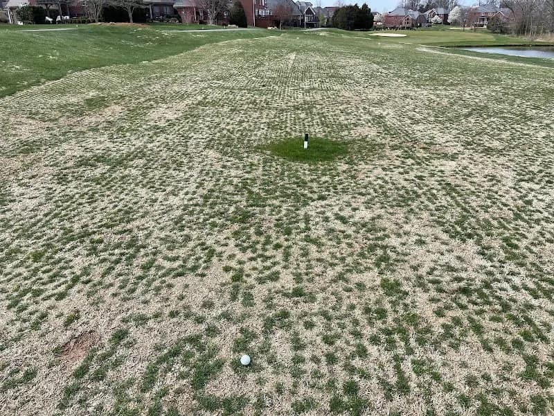View of GlenOaks Country Club in Anchorage, KY