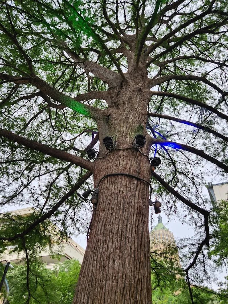 View of GO RIO San Antonio River Cruises in San Antonio, TX