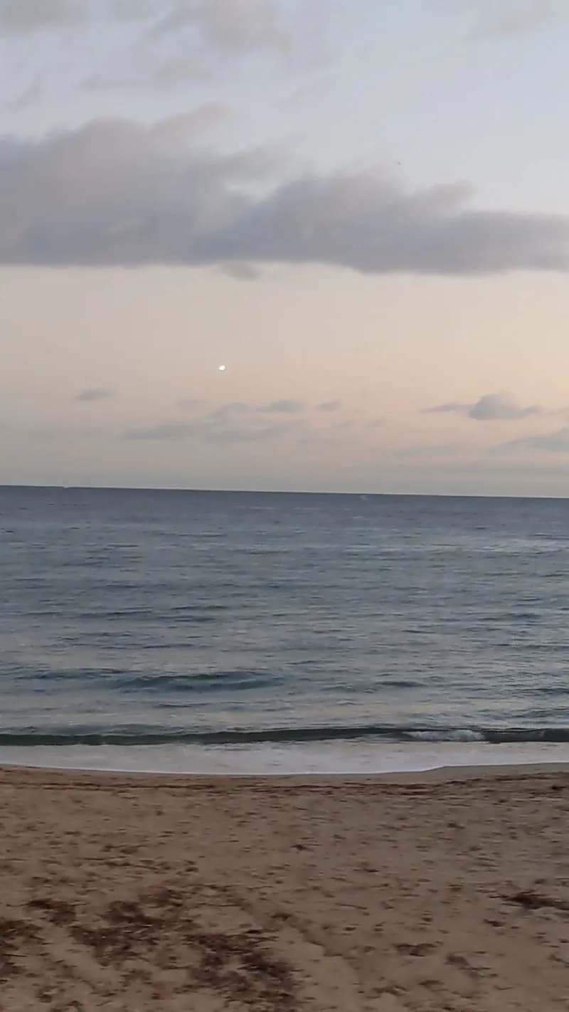 View of Golfe Juan Plage du Midi in Golfe-Juan, PACA