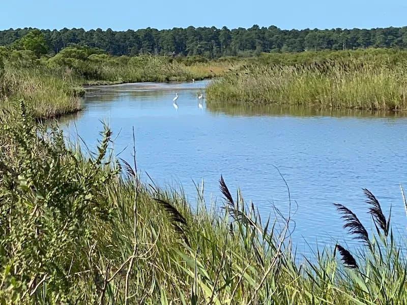 View of Gordons Pond Trail in Rehoboth Beach, DE