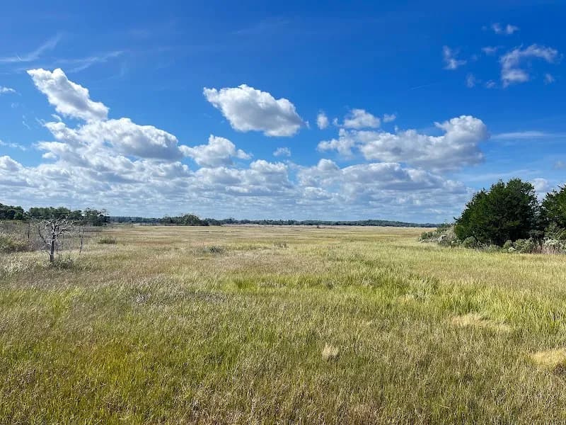 View of Gordons Pond Trail in Rehoboth Beach, DE