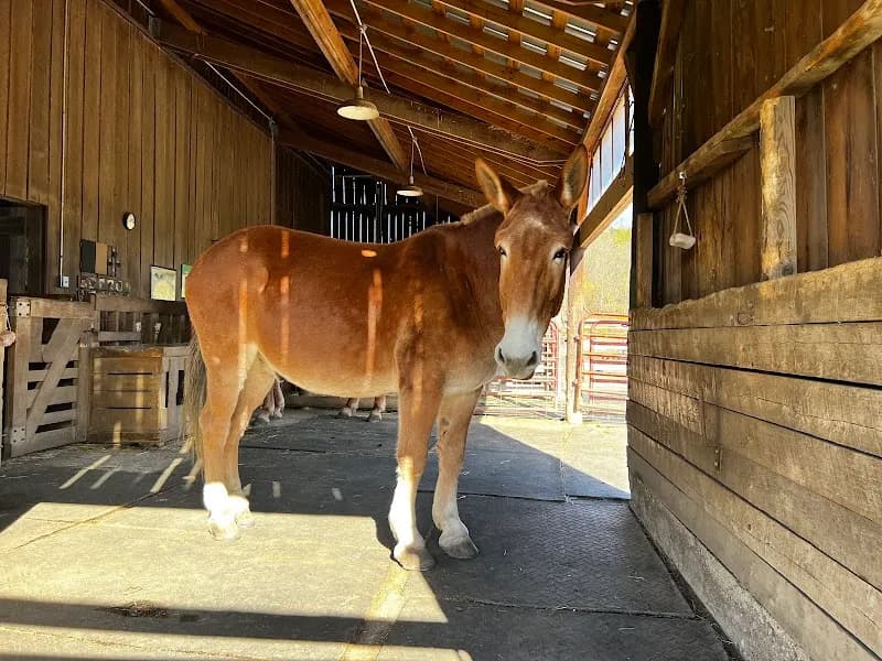 View of Gorman Heritage Farm in Cincinnati, OH