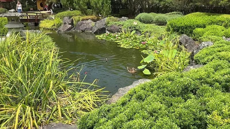 View of Gosford Regional Gallery in Central Coast (Gosford), NSW