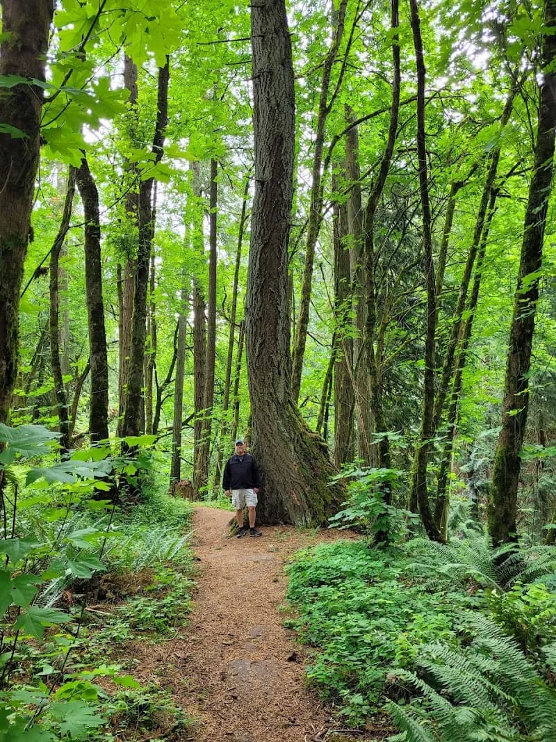 View of Graham Oaks Nature Park in Wilsonville, OR