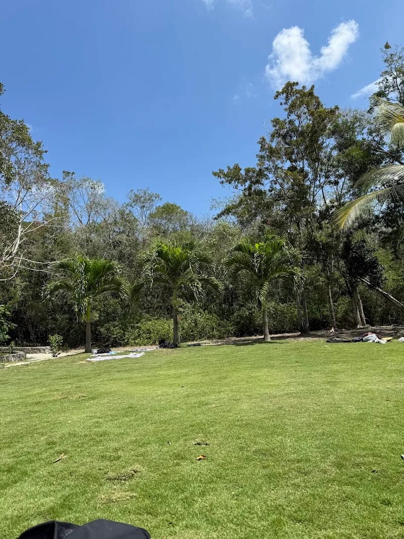 View of Gran Cenote in Tulum, QR