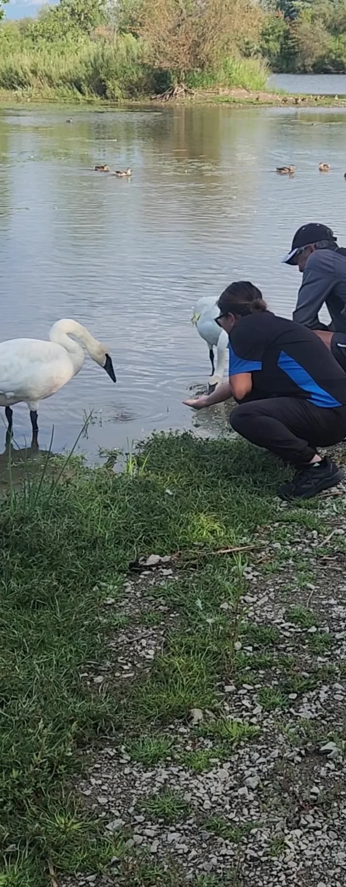 View of Grand Cornell Park Trail in Markham, ON