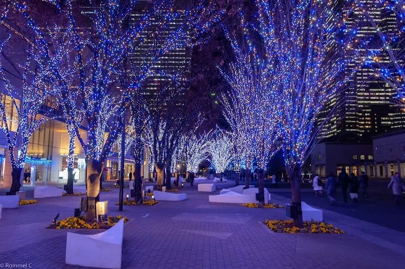 Grand Mall Park park in Nishi, Kanagawa