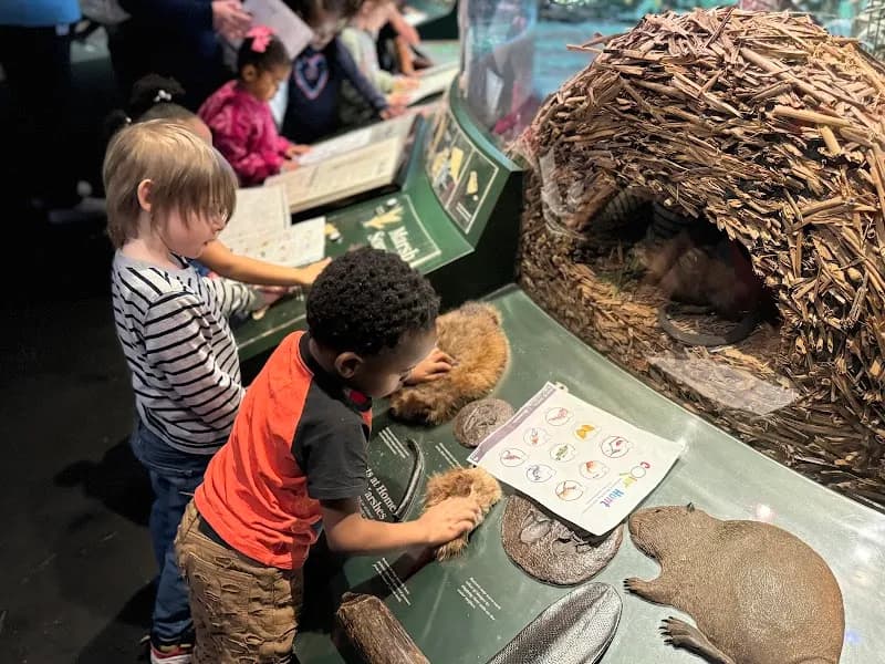 Grand Rapids Public Museum museum in Grand Rapids, MI