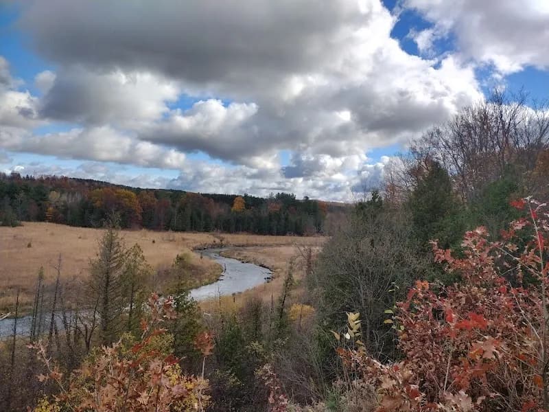Grand Traverse Natural Education Reserve nature preserve in Traverse City, MI