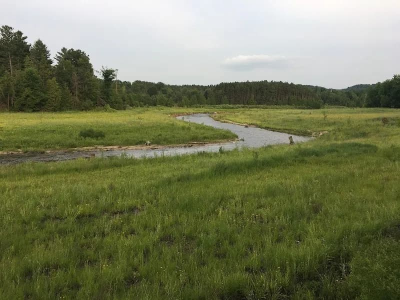 View of Grand Traverse Natural Education Reserve in Traverse City, MI