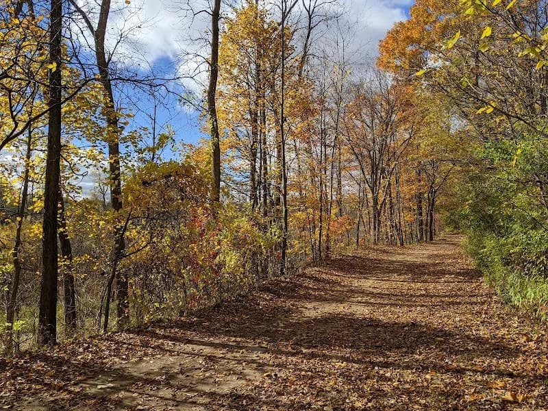 View of Grand Woods Park in Lansing, MI