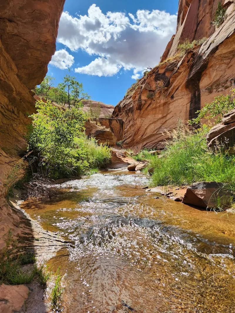 View of Grandstaff Canyon National Recreation Trail in Moab, UT
