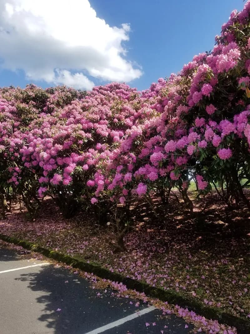 View of Grandview in Fayetteville, WV