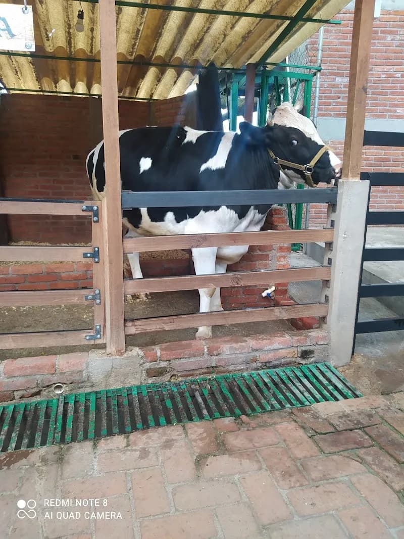 View of Granja del Tío Pepe in Huixquilucan, Edomex