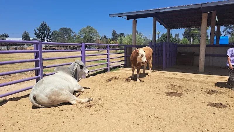 Granja Educativa farm in Atizapán de Zaragoza, Edomex