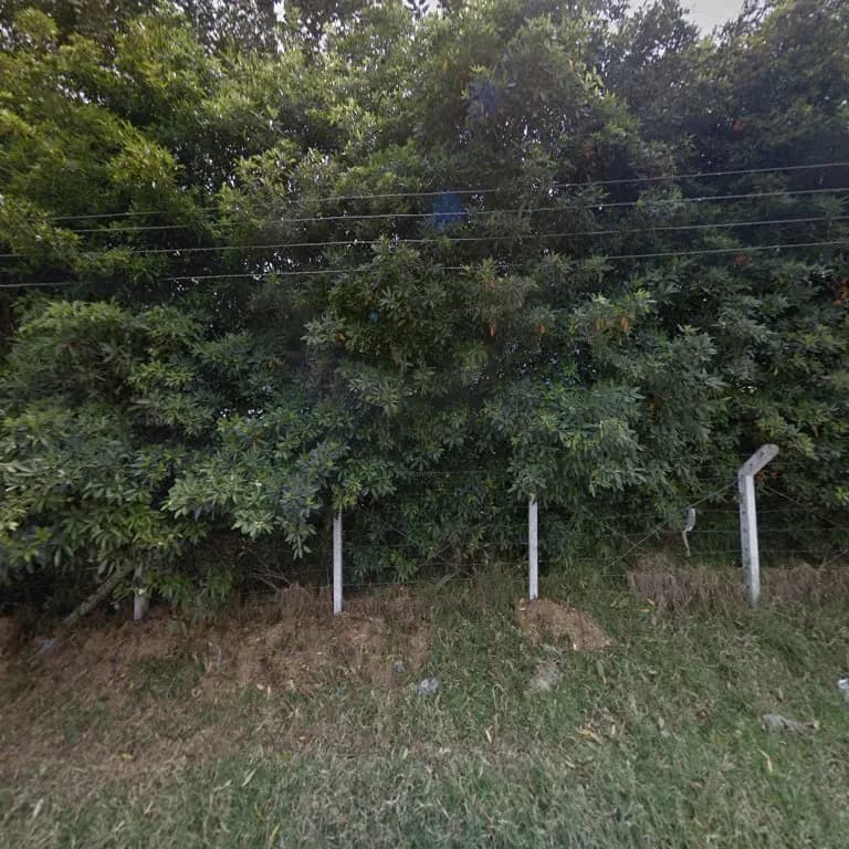 Granja Educativa El Tesoro farm in Facatativá, CD