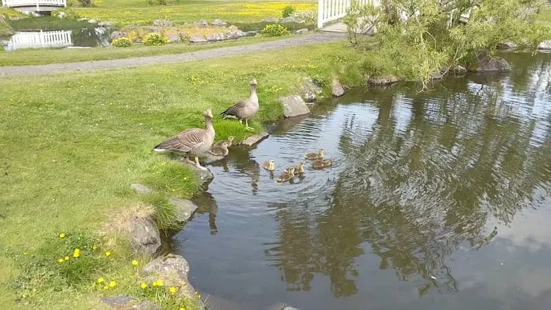 View of Grasagarður Botanical Garden in Kópavogur, CR