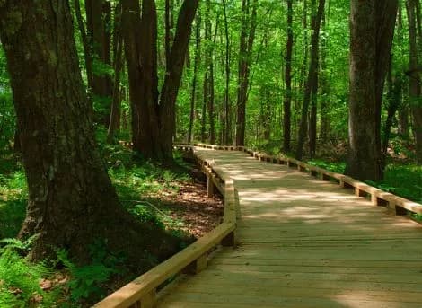 Great Bay National Wildlife Refuge wildlife refuge in East Kingston, NH