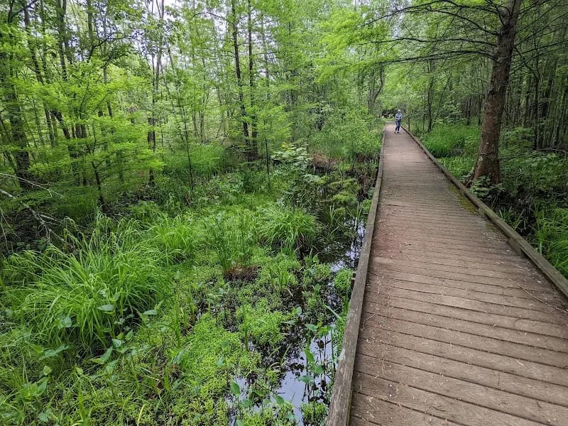 Great Dismal Swamp National Wildlife Refuge wildlife refuge in Suffolk, VA