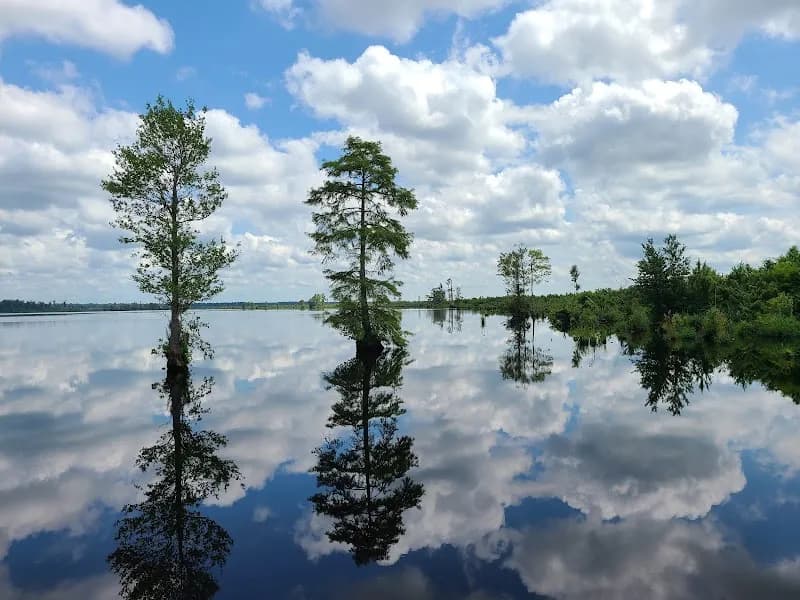 View of Great Dismal Swamp National Wildlife Refuge in Suffolk, VA