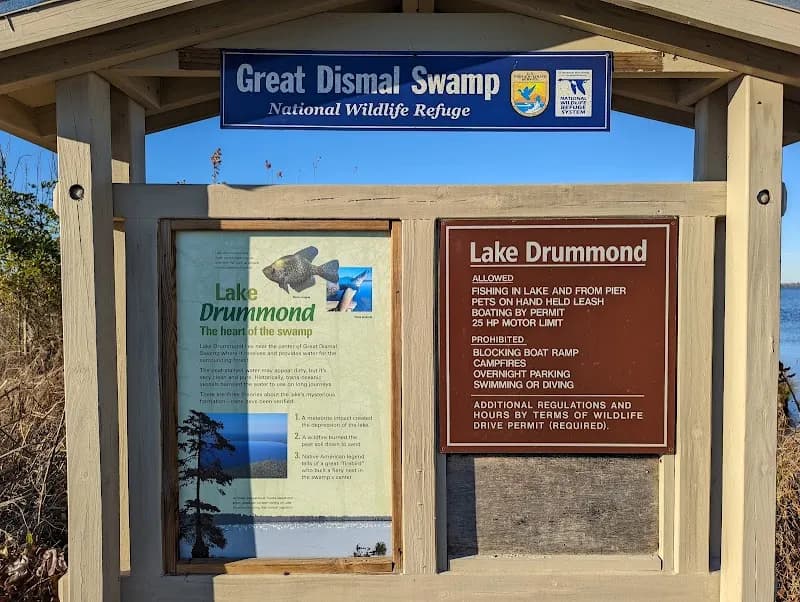 View of Great Dismal Swamp National Wildlife Refuge in Suffolk, VA
