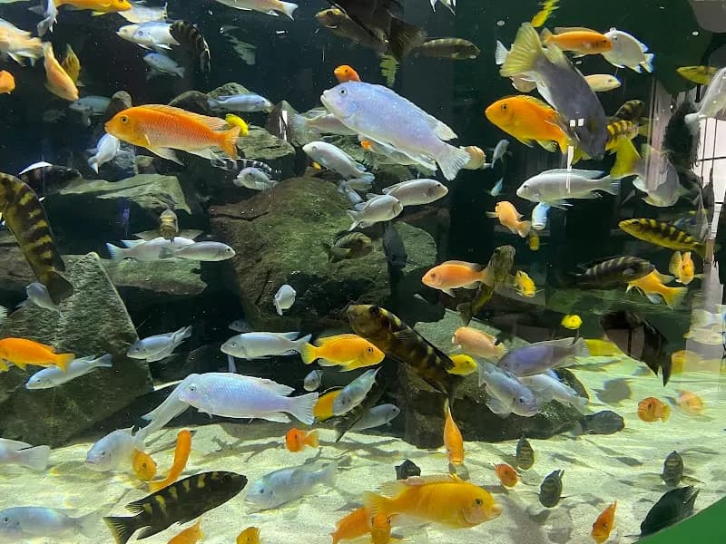 View of Great Lakes Aquarium in Duluth, MN