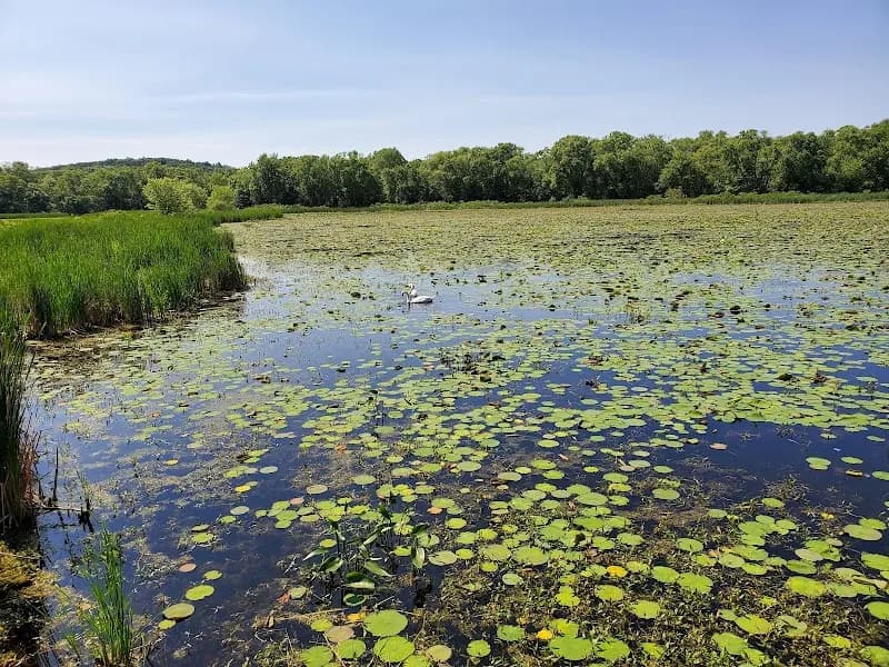 View of Great Meadows National Wildlife Refuge - Concord Unit in Concord, MA