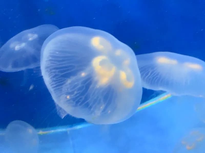 View of Greater Cleveland Aquarium in Cleveland, OH