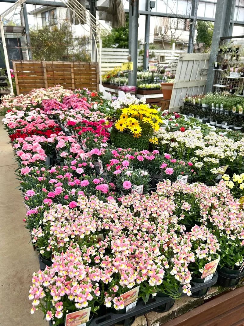 View of Green Farm Gumizawacho Totsuka in Totsuka, Kanagawa