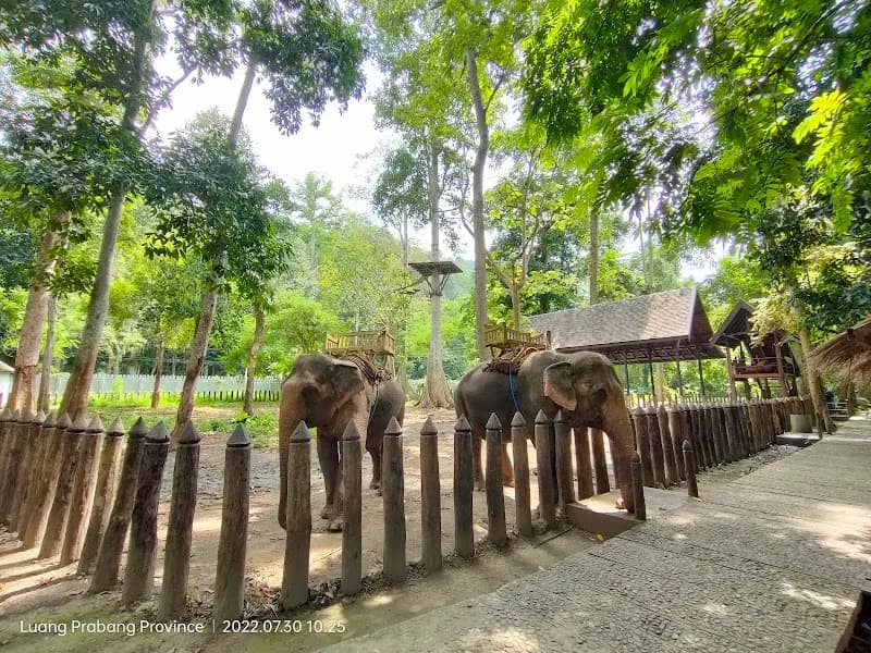 Green Jungle Park park in Luang Prabang, LP
