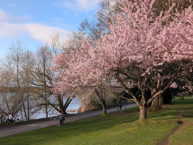 View of Green Lake Park in Seattle, WA
