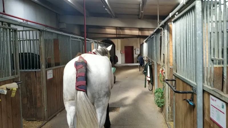 View of Green Paddock in Torrelodones, Madrid