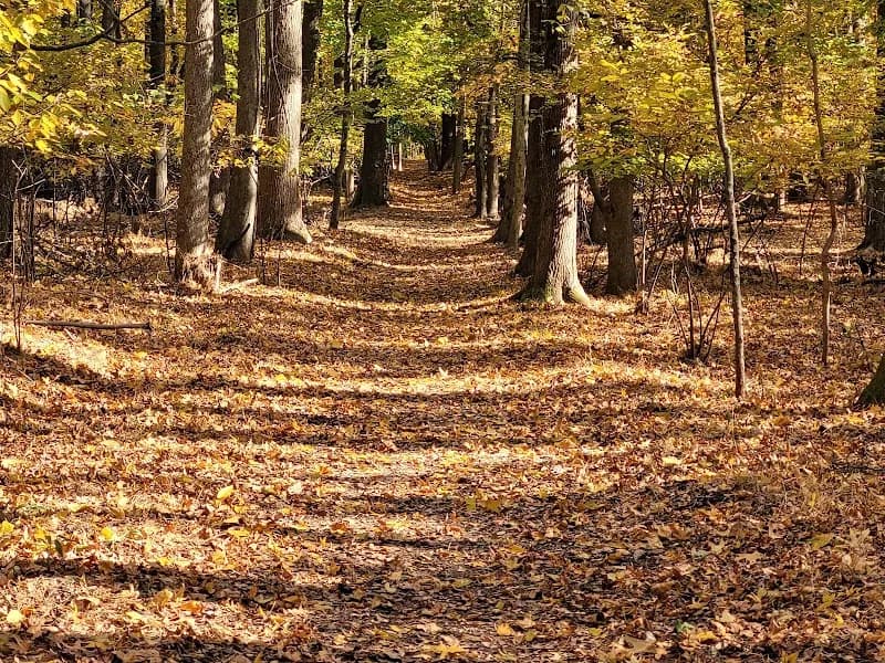 View of Greenbelt Nature Center in Staten Island, NY