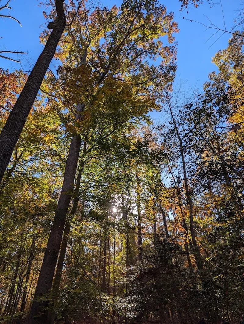 View of Greenbelt Park in College Park, MD