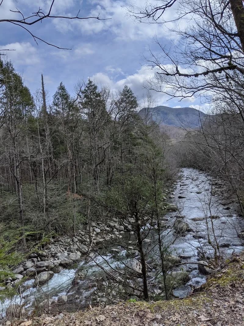 View of Greenbrier Road in Pittman Center, TN
