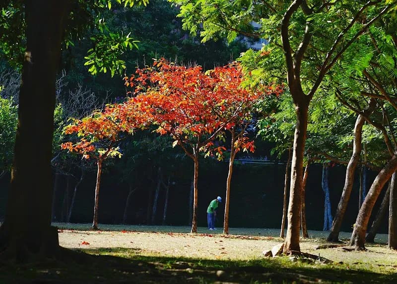 View of Greenfield Garden in Tseung Kwan O, HK