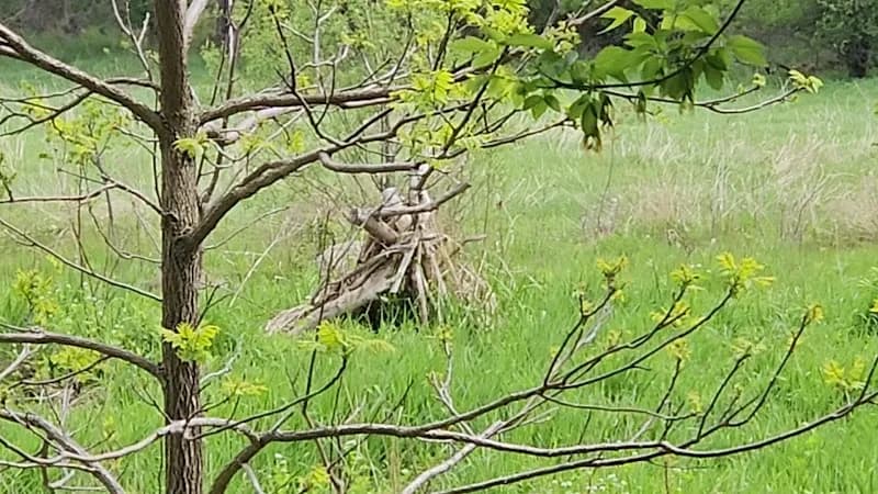 View of Greenlane Regional Park Walking Trails in Newmarket, AKL