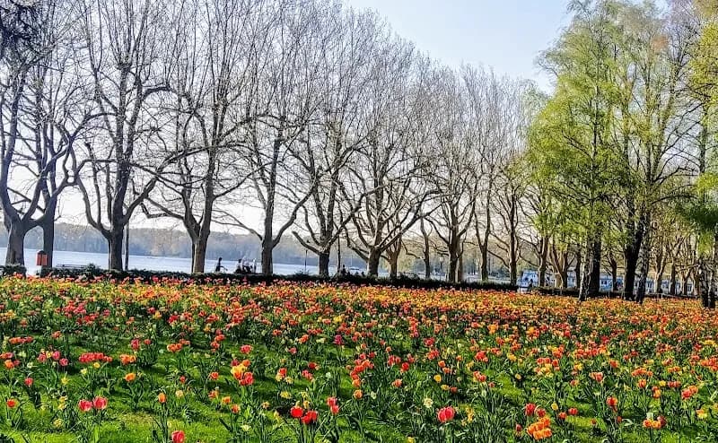 View of Greenwich Promenade in Tegel, BE