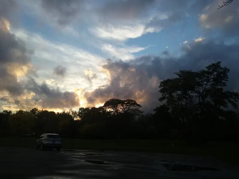 View of Griffon Park in Buffalo, NY