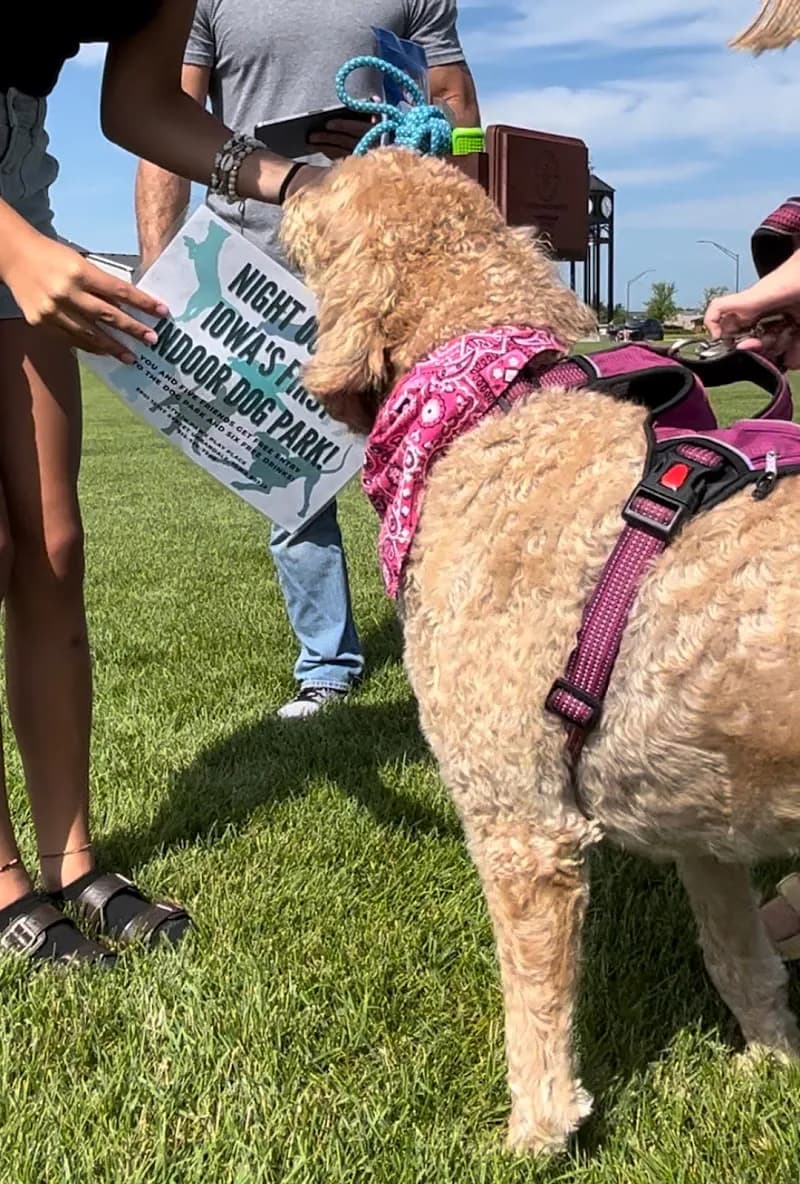 View of Grimes Farmers & Community Market in Grimes, IA