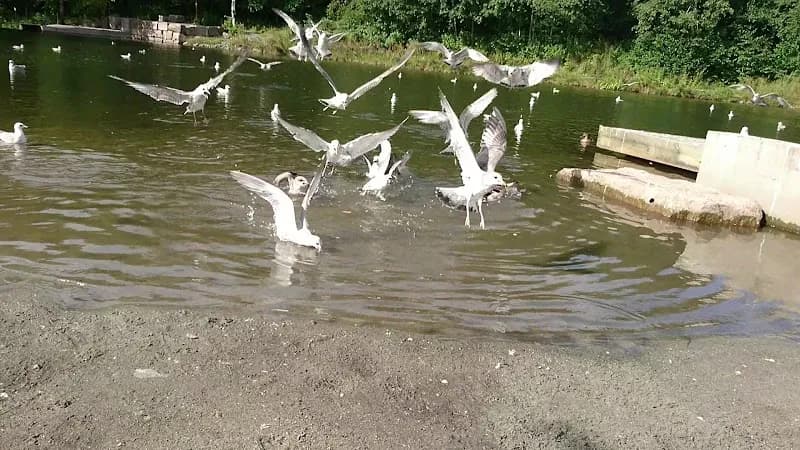 View of Grorudparken in Grorud, Oslo