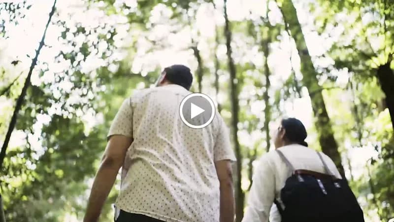 View of Grose Valley Discovery Centre in Blue Mountains, NSW