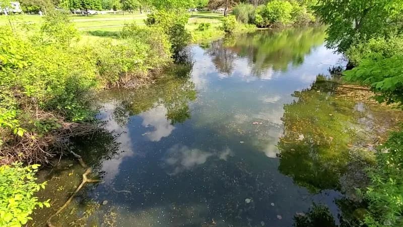View of Groveland Oaks County Park and Campground in Leonard, MI