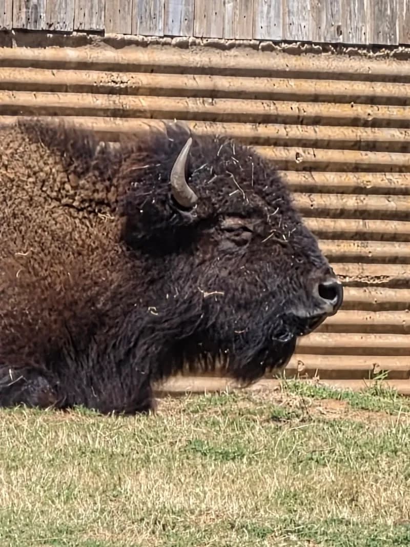 View of Grover Nelson Park in Abilene, TX