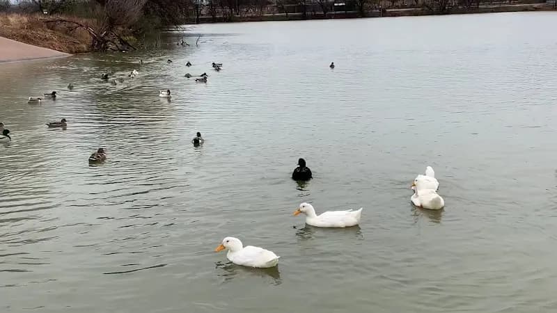 View of Grover Nelson Park in Abilene, TX