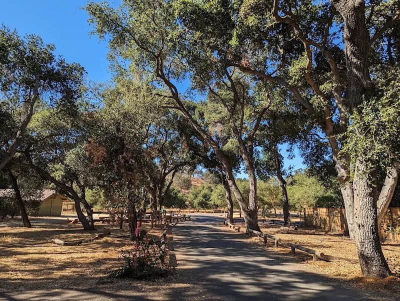 View of Guadalupe Oak Grove Park in Almaden Valley, CA
