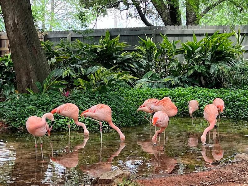 View of Gulf Breeze Zoo in Destin, FL