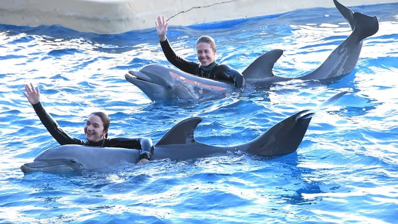 Gulf World Marine Park aquarium in Panama City Beach, FL